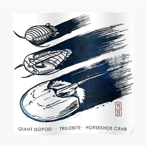 Deep Sea Roombas On Ink Poster For Sale By XVelozeex Redbubble