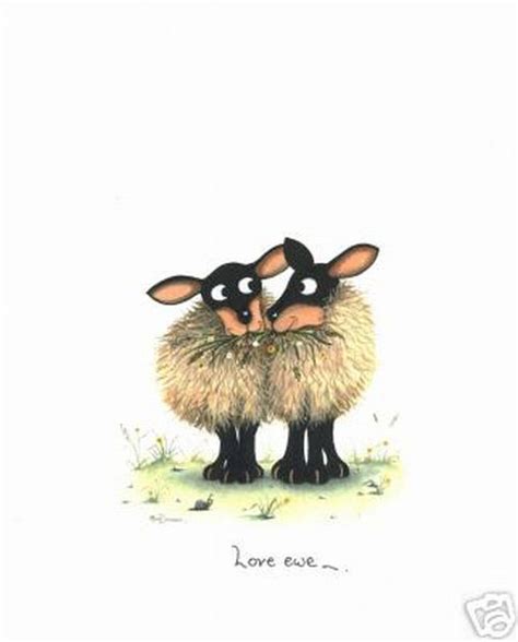 Sheep Images Sheep Love Ewe