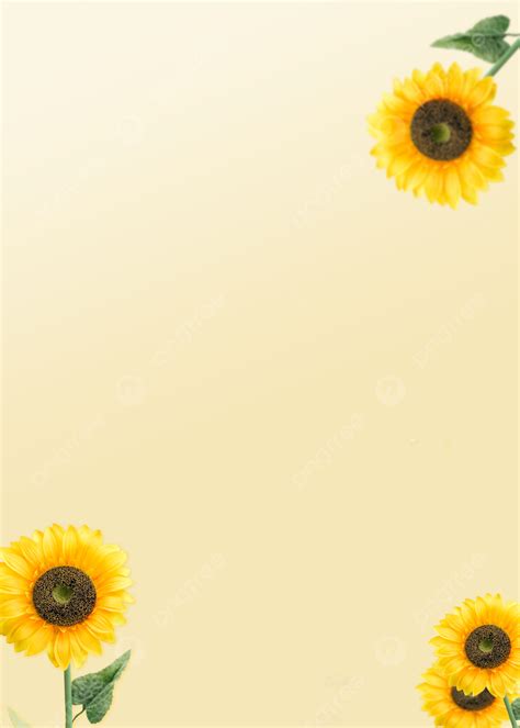 Quanto Custa O Metro Da Telha Sanduíche - Fundo Amarelo Girassol Gradiente, Amarelo, Gradiente, Flores Imagem de ...