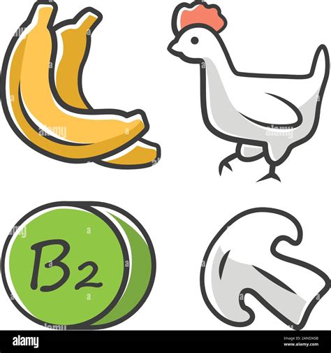 Vitamin B Color Icon Bananas Poultry And Mushroom Healthy Eating