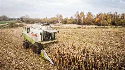 Koszenie Kukurydzy na Ziarno z Ur Paruch Claas Lexion 460 Łódzkie