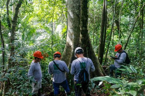 OSINFOR presenta estudio ecológico sobre distribución de especies