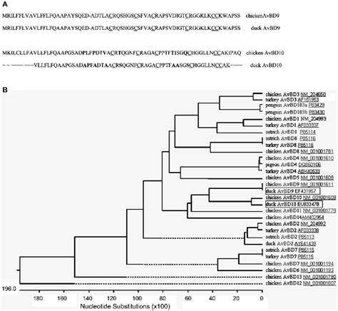 Deduced Amino Acid Sequences And Phylogenetic Relationships Of Duck