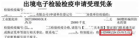 出口商检需要哪些资料？海关商检流程及注意事项 拼客号