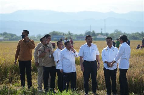 Kementan Siap Dampingi Petani Di Maros Akses Kur