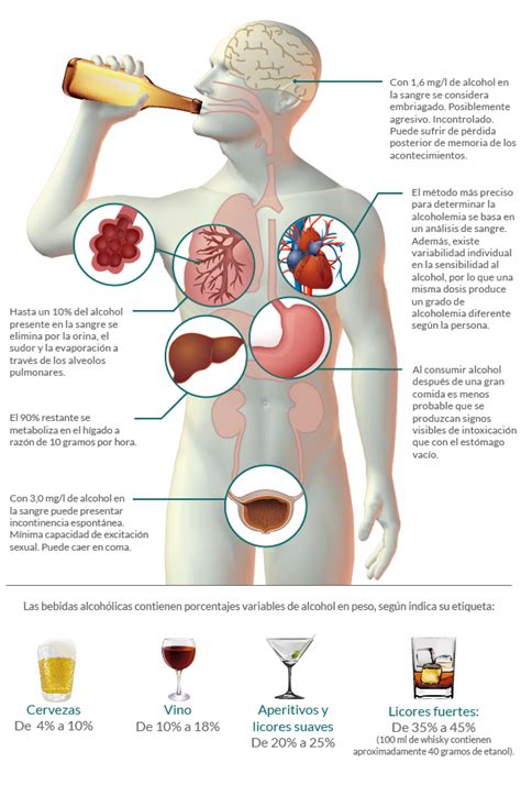 Consecuencias Del Alcoholismo Efectos Del Alcohol