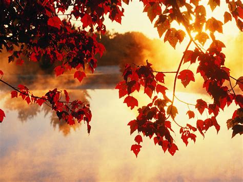 Autumn Wallpaper Examples For Your Desktop Background Web Development And Designing