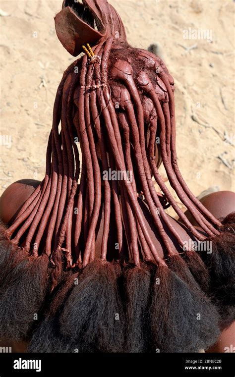 Himba Woman Hairstyle With Crest Known As Erembe Indicating That She