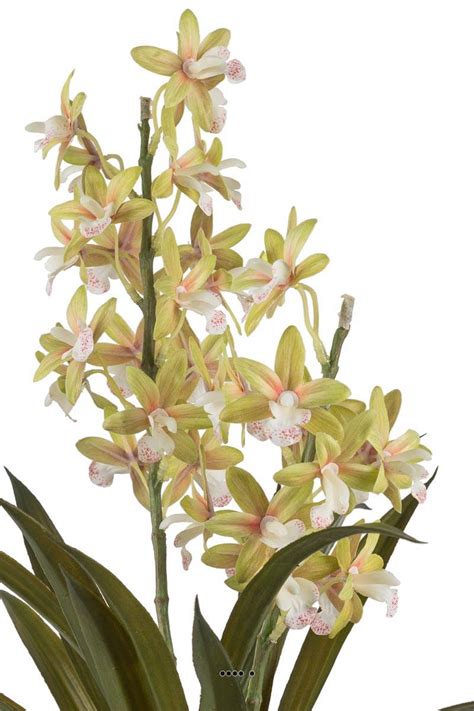 Orchidée cymbidium artificielle en pot H 45 cm Artificielles