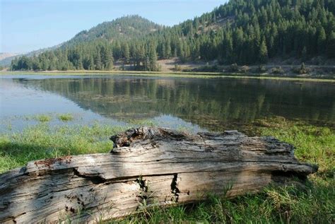 I Love Floating This River Kettle River Kettle Falls Washington