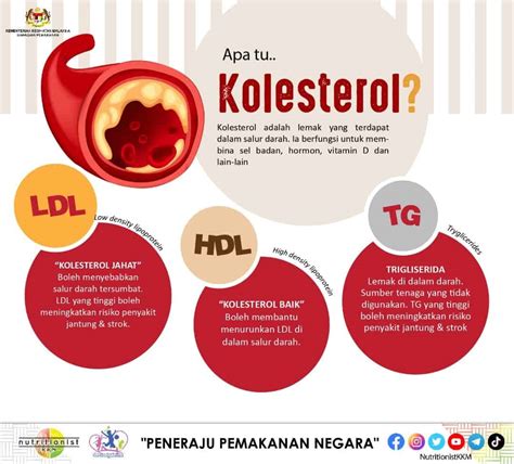 Makanan Untuk Kurangkan Kolesterol