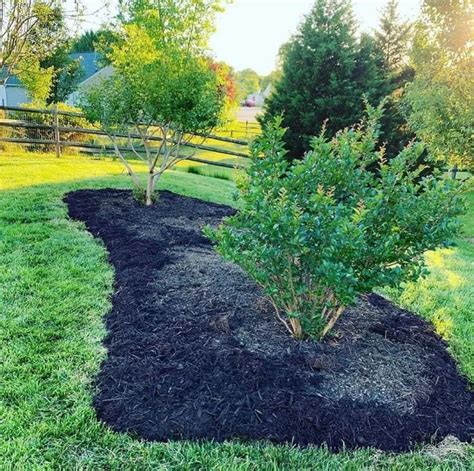 Sheet Mulching On A Slope This Is How To Do It Properly