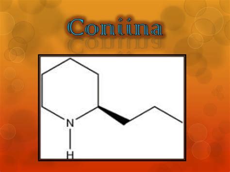 Coniina