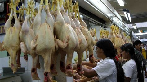 Precio Del Pollo Baja En Mercados Mayoristas Según Midagri Rpp Noticias