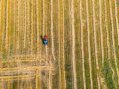 Agricultores Trabalham No Campo Trator Cultivando Campo Na Primavera