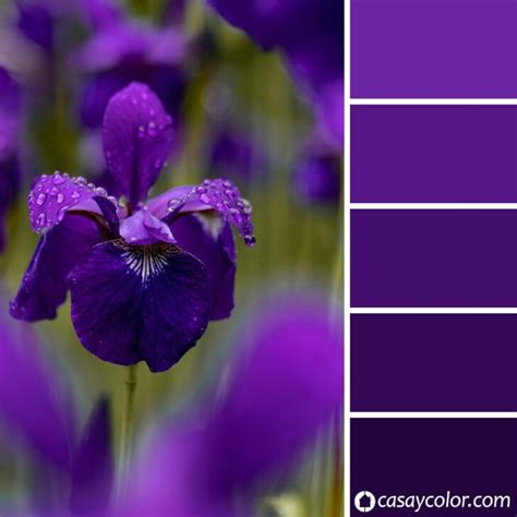 Gama De Colores Violetas Los Colores Más Elegantes Para Interiores