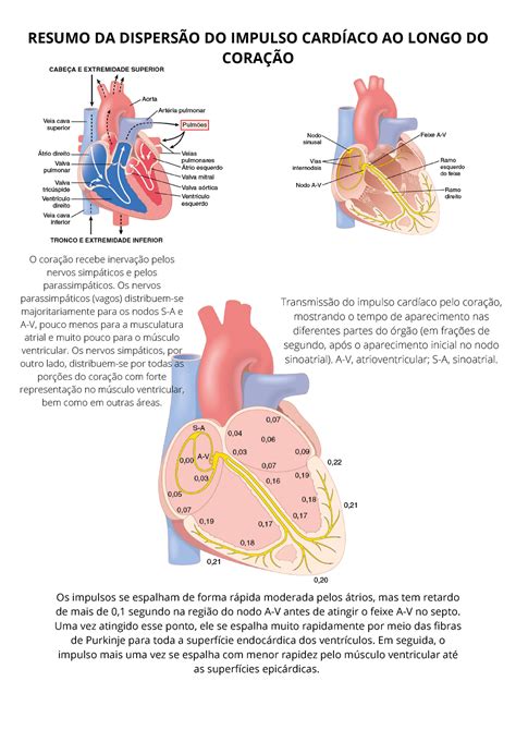 Cap 10 Resumo Fisiologia RESUMO DA DISPERSÃO DO IMPULSO CARDÍACO AO