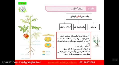زیست پایه دهم فصل ششم گفتار دوم آقای قنبری