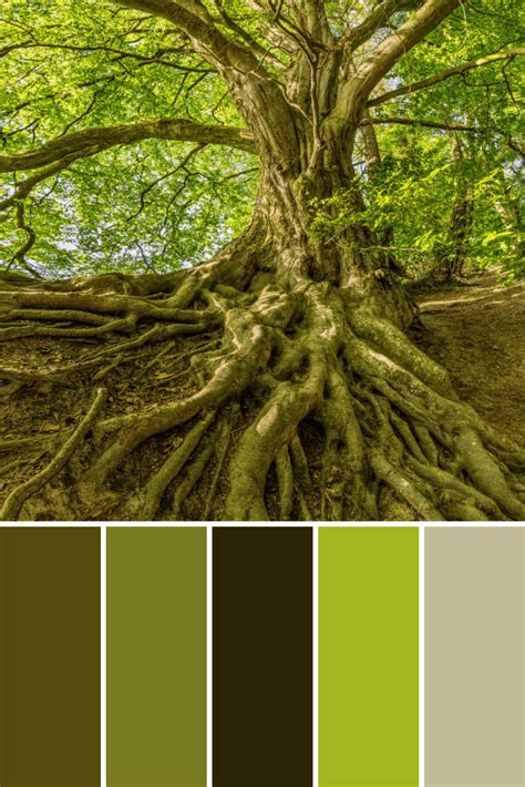 Tree Color Palettes This Growing Home Color Palette Interior Design