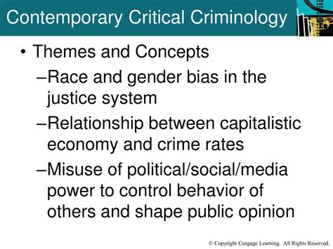 Ppt Lesson Eight Social Conflict Critical Criminology And