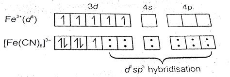 How Would You Account For The Magnetic Behaviour Of Fe Cn A