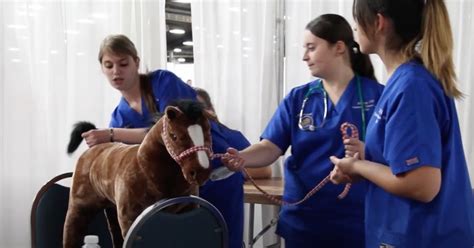 National Ffa Makes Vet Science Cde More Real Agdaily