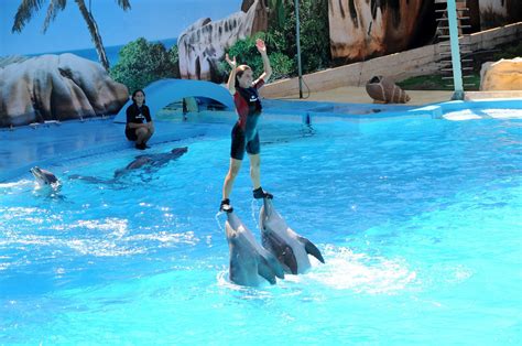 Zoomarine Aquatic Theme Park · Praia Da Luz Holidays