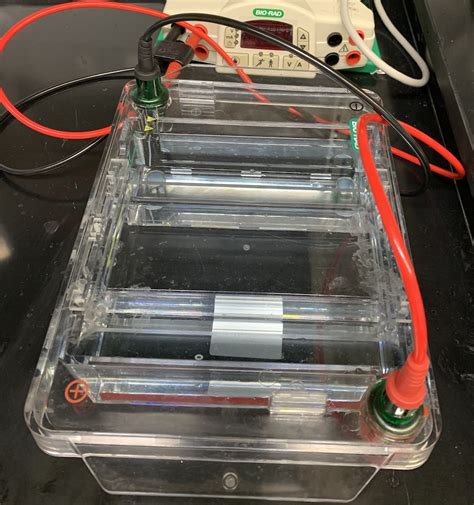 Labcompare Product Review Excellent Horizontal Electrophoresis