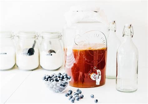 4 Ingredient Blueberry Kombucha Recipe | Brew Buch