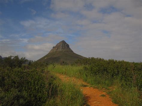 Lion's Head to Signal Hill Trail Run