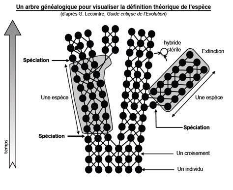 La Notion Desp Ce Est Une Notion Qui A Volu Au Qcm N