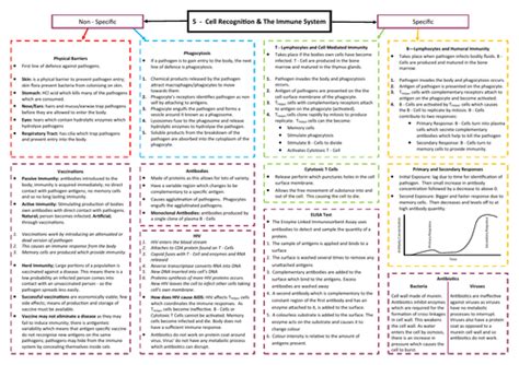 Cell Recognition And The Immune System Revision Mind Map Aqa As A Level Biology 7401 7402