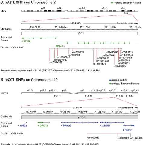 Cllsll Associated Snps That Significantly Alter Gene Expression