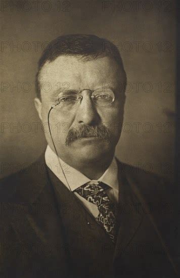 Theodore Roosevelt 1858 1919 26th President Of The United States 1901 09 Hea Glasshouse