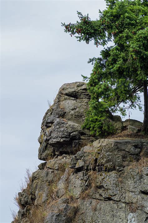 Stanley Park Trail 3 Photograph By Bob Corson Fine Art America