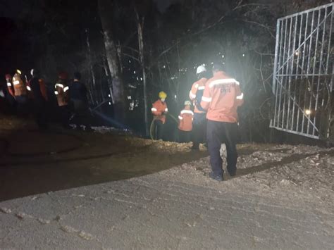 Combaten Incendios Forestales En Carabobo Miranda Y Caracas