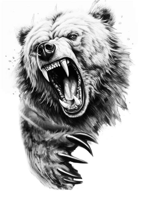 A Drawing Of A Bear With Its Mouth Open And Claws Out Showing The Teeth