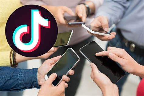 Beginner S Guide To Tiktok Marketing Strategy For Business Skill Success