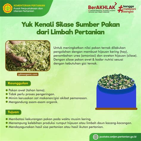 Info Teknologi Silase Sumber Pakan Dari Limbah Pertanian