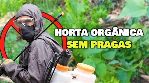 Como acabar as Pragas na Horta Orgânica sem usar veneno YouTube