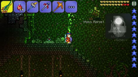 Mobile - Jungle Something | Terraria Community Forums