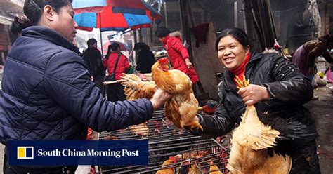 Two More Cases Of Human Bird Flu In China South China Morning Post