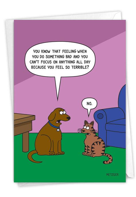 Buy NobleWorks - 1 Funny Animal Card for Birthdays - Pet Cat and Dog ...