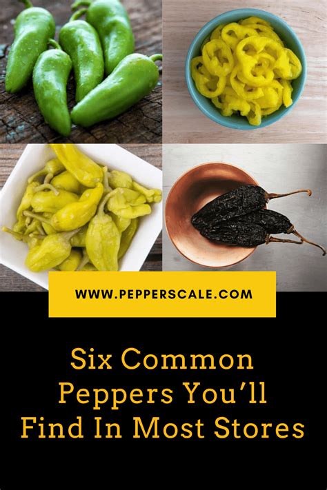 Six Common Peppers Youll Find In Most Stores Pepperscale