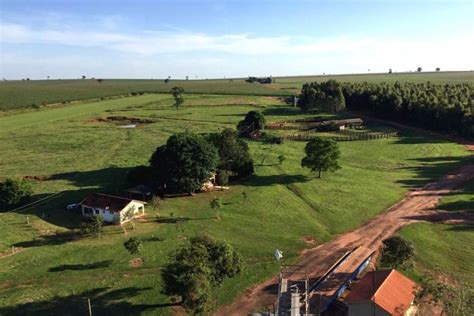 Fazenda A Venda Regi O De Navirai Ms