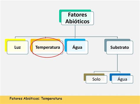 10 Fatores Abióticos Temperatura By Elia Martins Issuu