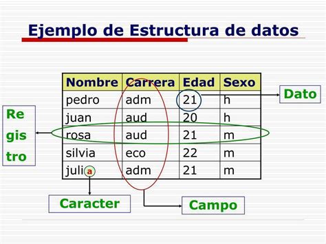 Tipos De Datos Mind Map