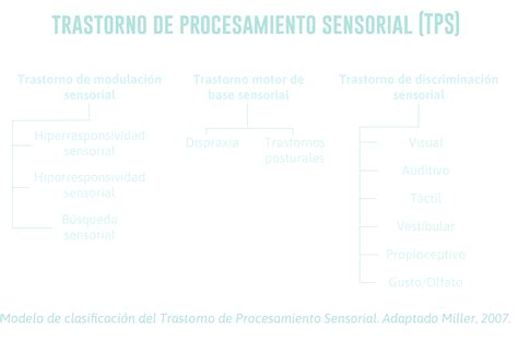 Trastorno De Procesamiento Sensorial Autismo Femenino