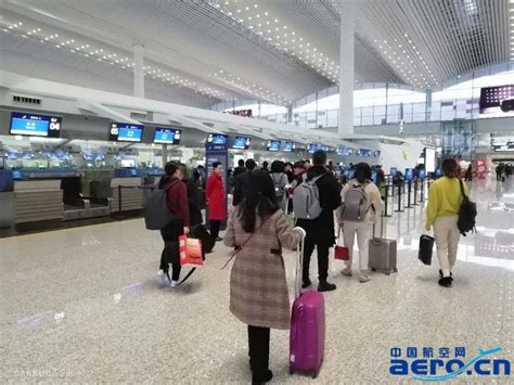 春运期间！白云机场预计接送旅客8293万人次航空信息民用航空通用航空公务航空