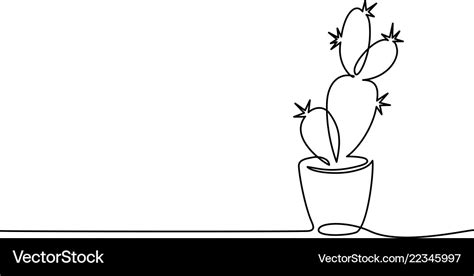 Line Drawing Of Cactus